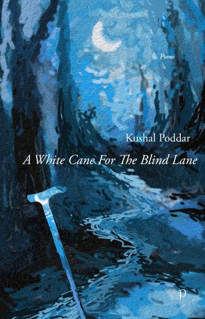 A White Cane For The Blind Lane by Kushal Poddar