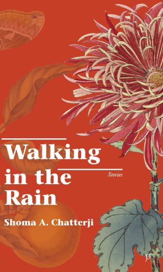 Walking In The Rain by Shoma A. Chatterji