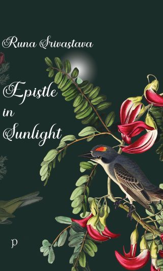 Epistle in Sunlight by Runa Srivastava