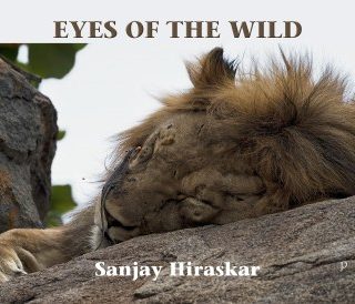 Eyes of the Wild by Sanjay Hiraskar