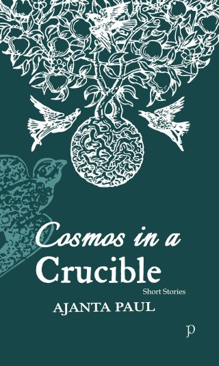 Cosmos in a Crucible by Ajanta Paul