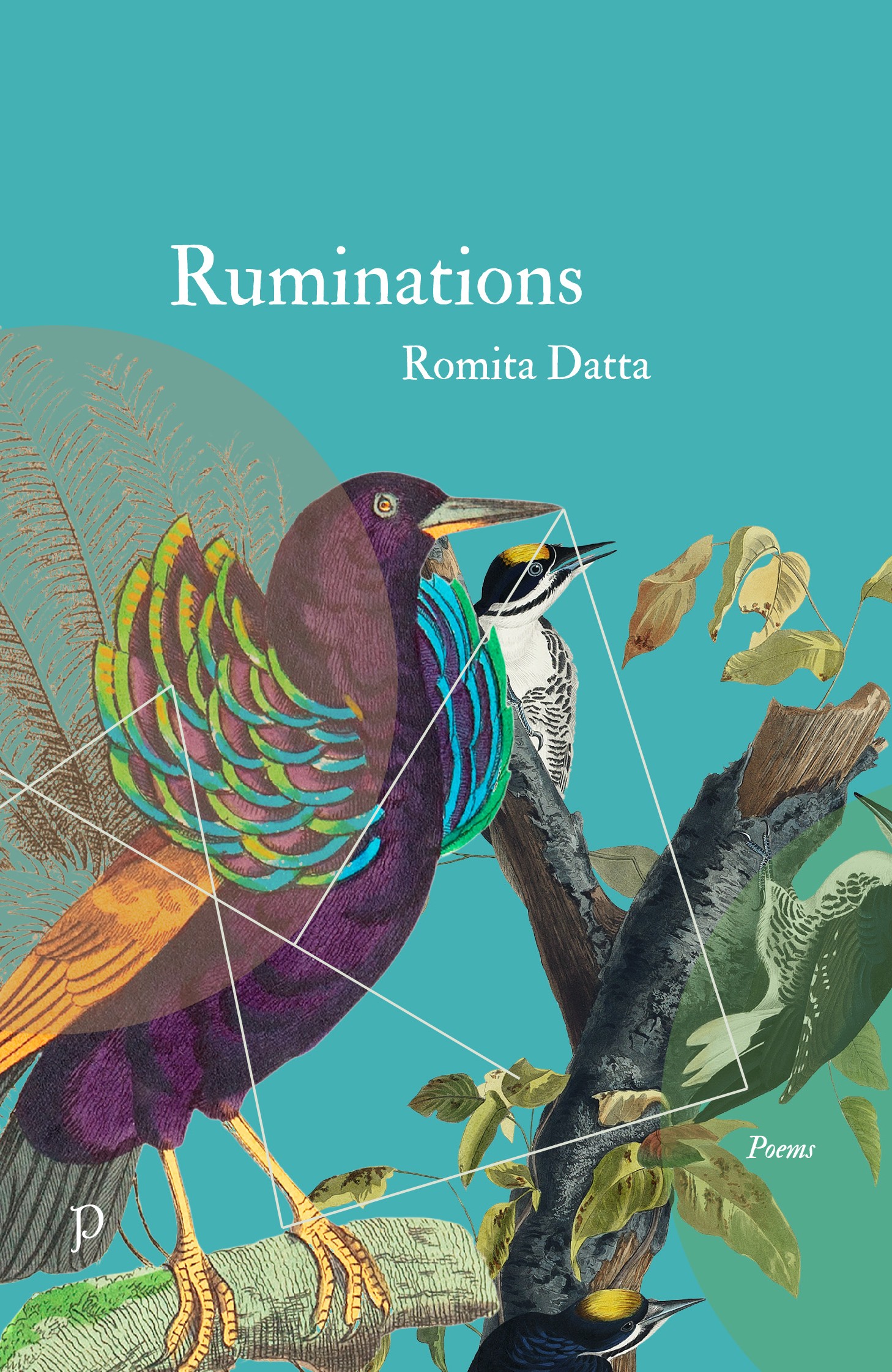 Ruminations by Romita Datta